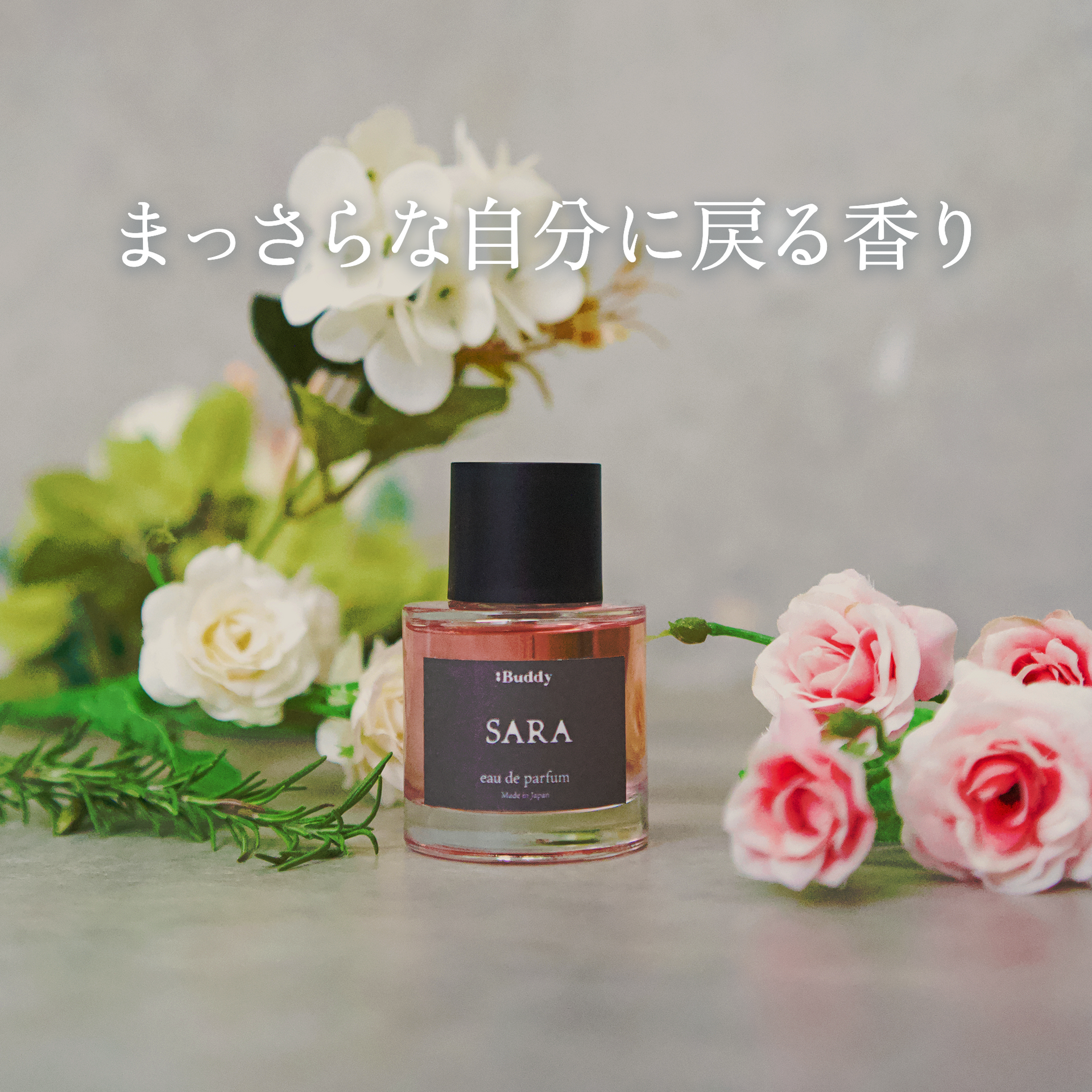 SARA – Buddy SARA – Buddy